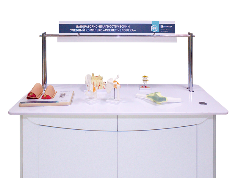 Лабораторно-диагностический учебный комплекс "Скелет человека" — купить в МЕДСЕТ