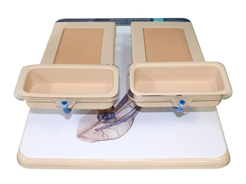 Тренажер для отработки навыков забора крови из вен (на фантомах с различной степенью венозной доступности) — купить в МЕДСЕТ