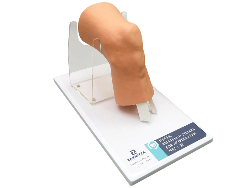 Муляж коленного сустава для артроскопии МКС-1.02 — купить в МЕДСЕТ