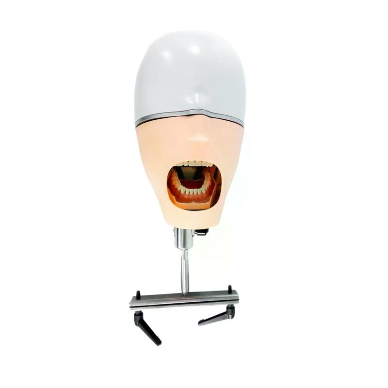 Учебный стоматологический фантом c креплением к подголовнику стоматологического кресла — купить в МЕДСЕТ