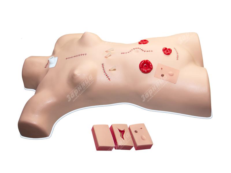 Тренажер для наложения швов и повязок — купить в МЕДСЕТ