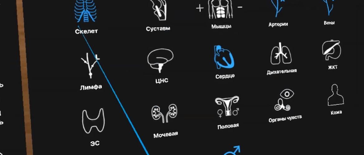 Трехмерный анатомический атлас VR. Виртуальный учебный комплекс. Приказ 838 Минпросвещения РФ — купить в МЕДСЕТ