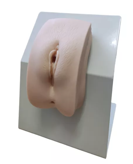 Модель для катетеризации (жен.) 28F — купить в МЕДСЕТ