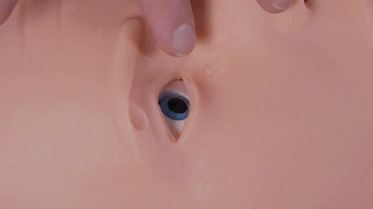 Робот-тренажер манекен "Антон-1" — купить в МЕДСЕТ