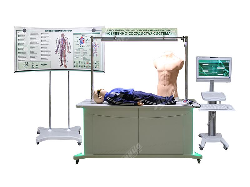 Лабораторно-диагностический учебный комплекс "Сердечно-сосудистая система" — купить в МЕДСЕТ
