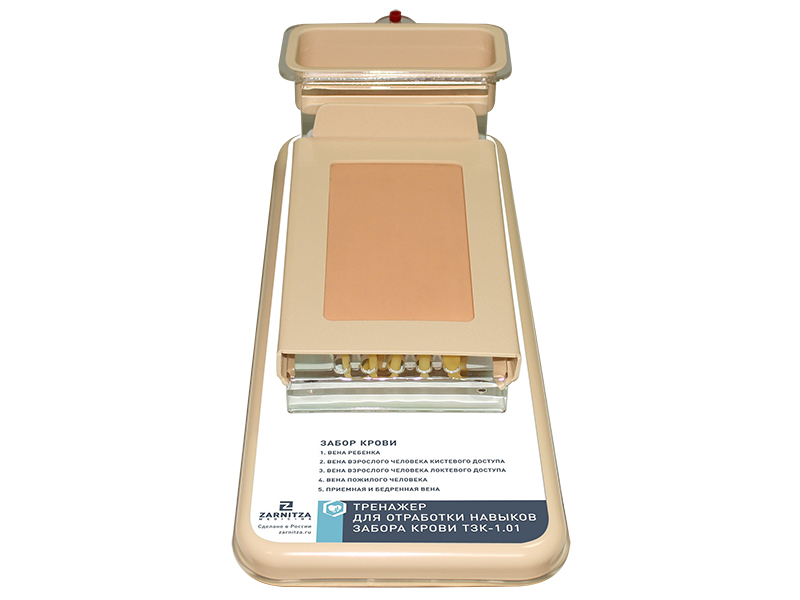 Тренажер для отработки навыков внутривенных инъекций ТВИ-1.01 — купить в МЕДСЕТ