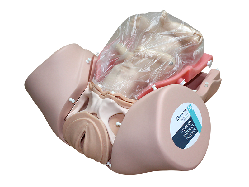 Тренажер кесарева сечения — купить в МЕДСЕТ