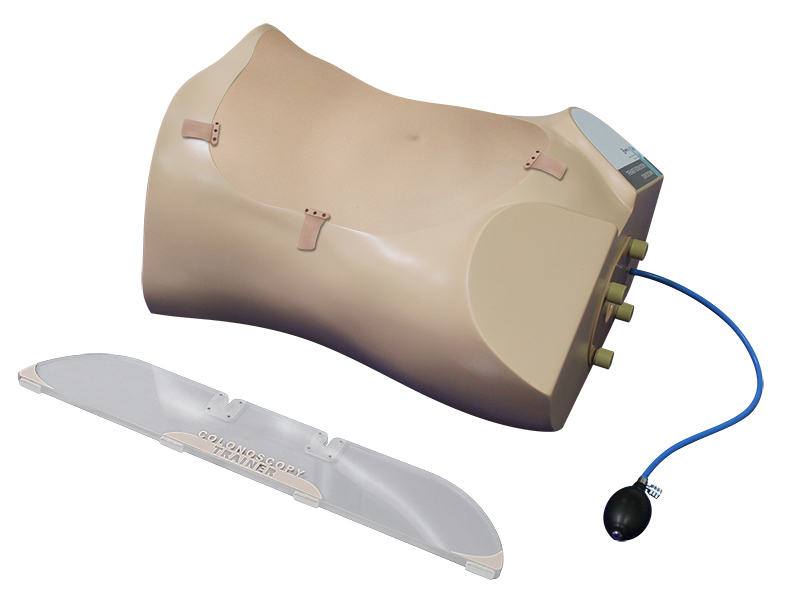 Тренажер колоноскопии, полипэктомии — купить в МЕДСЕТ