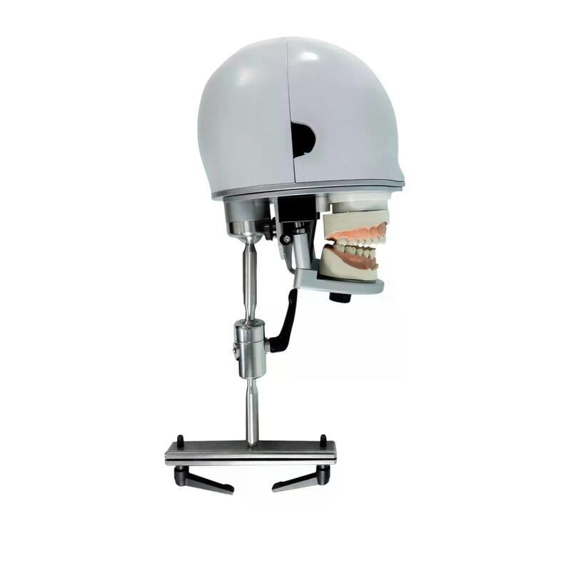 Учебный стоматологический фантом c креплением к подголовнику стоматологического кресла — купить в МЕДСЕТ