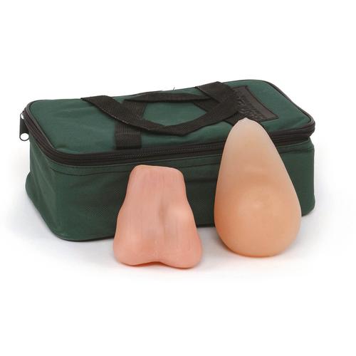 Тренажёр ТГЭ/КГЭ (трансмиссивная губкообразная энцефалопатия/губкообразная энцефалопатия у подростков, темная кожа — купить в МЕДСЕТ