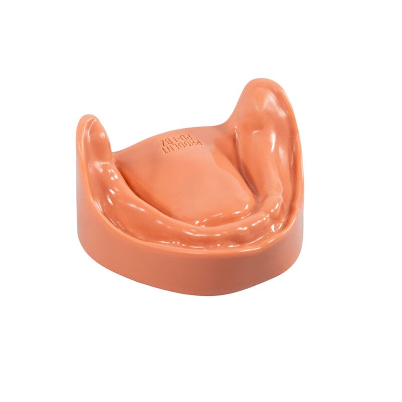 Стоматологическая модель верхней и нижней беззубой челюсти с десной — купить в МЕДСЕТ