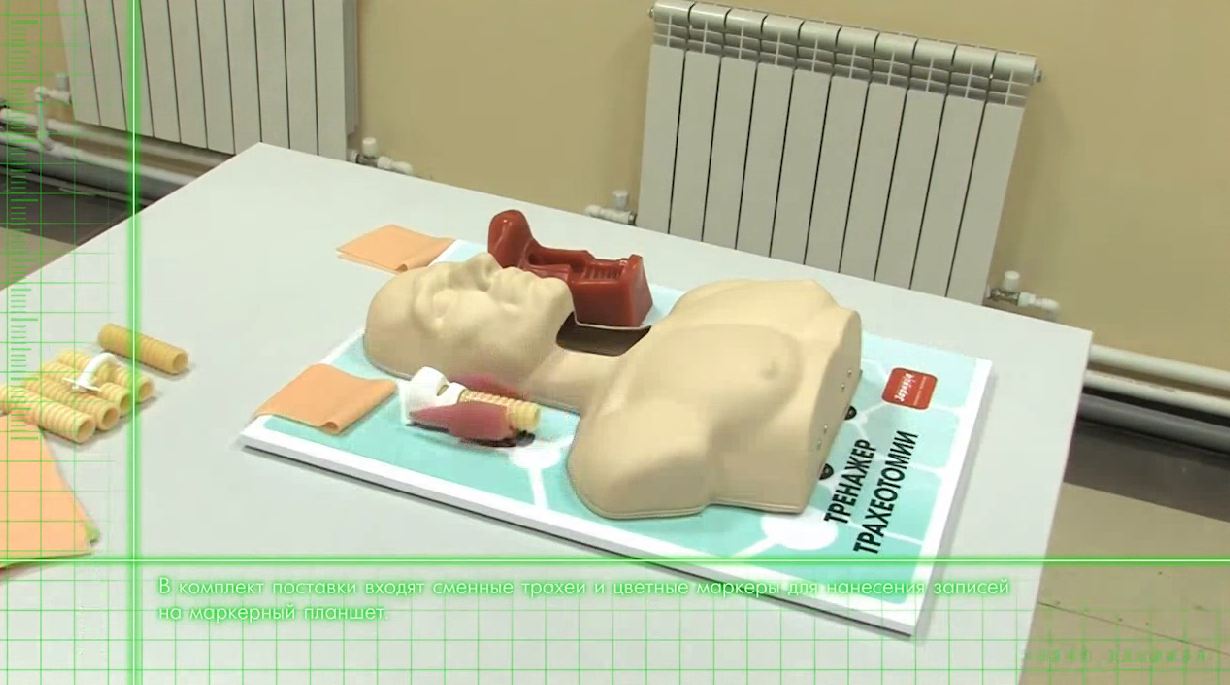 Тренажер трахеотомии — купить в МЕДСЕТ