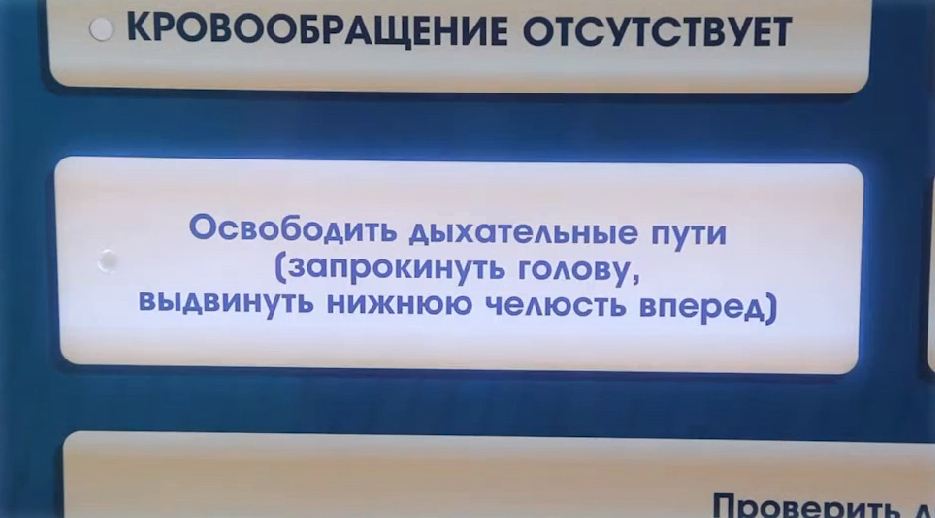 Электрифицированный стенд-тренажер "Этапы оказания первой реанимационной помощи" — купить в МЕДСЕТ