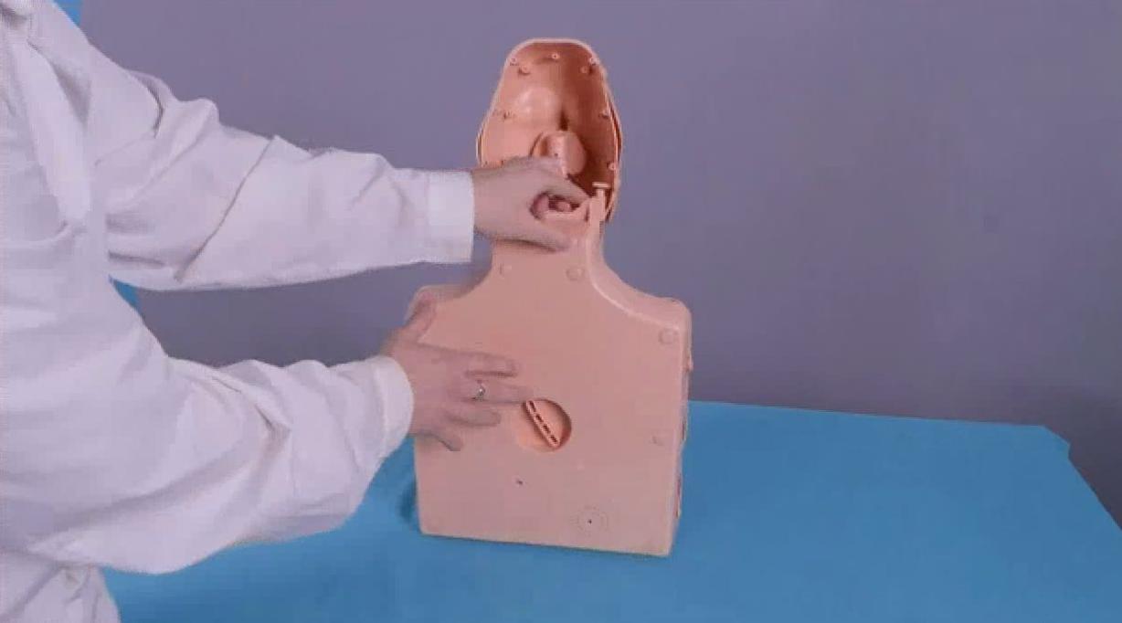 Тренажер-манекен пострадавшего для отработки приемов сердечно-легочной реанимации "ТОРС-01 СЛР" — купить в МЕДСЕТ