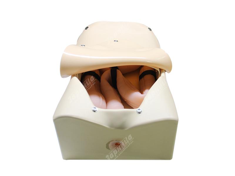 Лабораторно-диагностический учебный комплекс "Желудочно-кишечный тракт" — купить в МЕДСЕТ