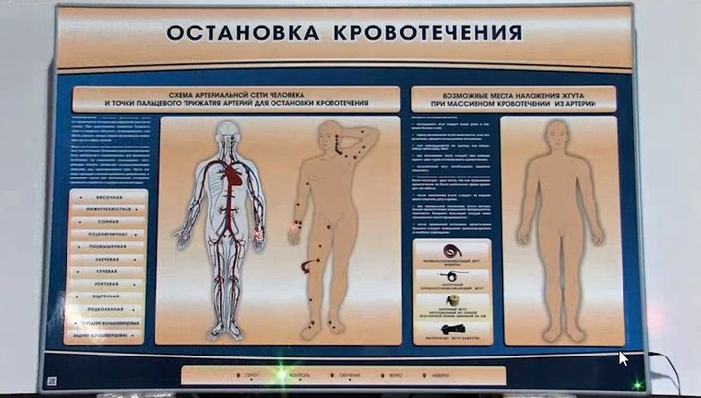Электрифицированный стенд-тренажер "Остановка кровотечения" — купить в МЕДСЕТ