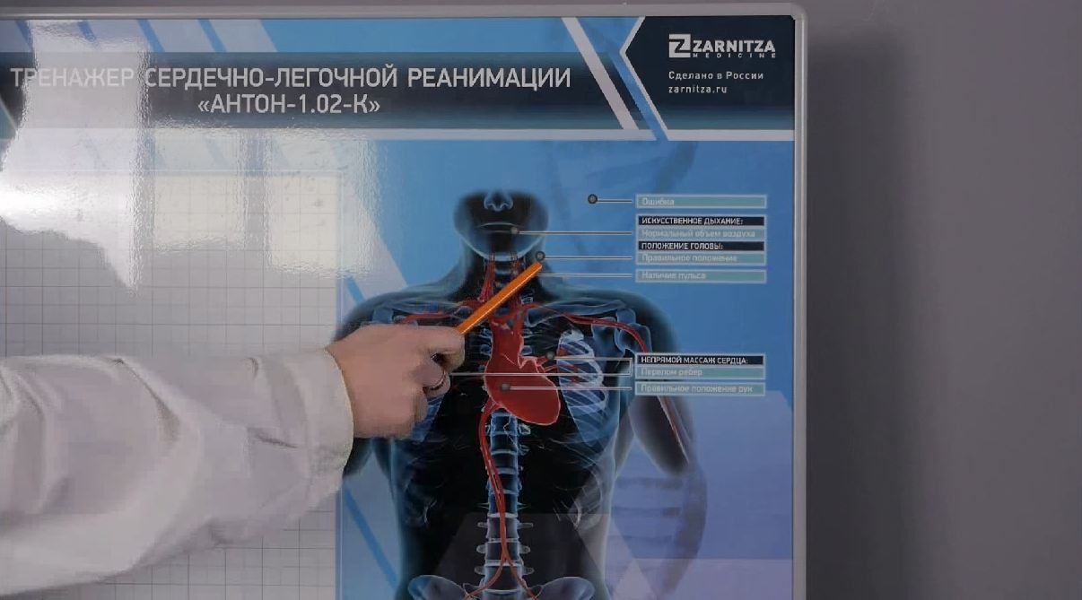 Робот-тренажер манекен "Антон-2" — купить в МЕДСЕТ