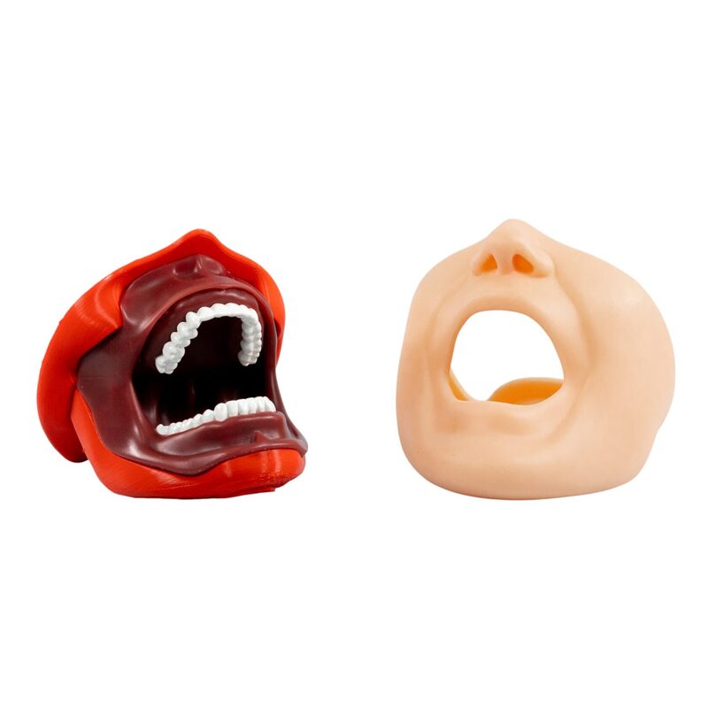 Учебная стоматологическая модель челюсти для анестезии — купить в МЕДСЕТ