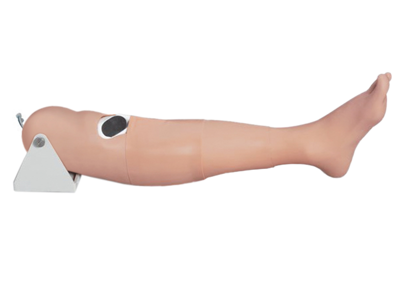 Тренажер для внутрикостных инъекций — купить в МЕДСЕТ