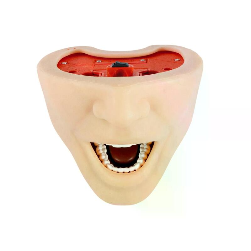 Учебная стоматологическая модель челюсти для анестезии — купить в МЕДСЕТ