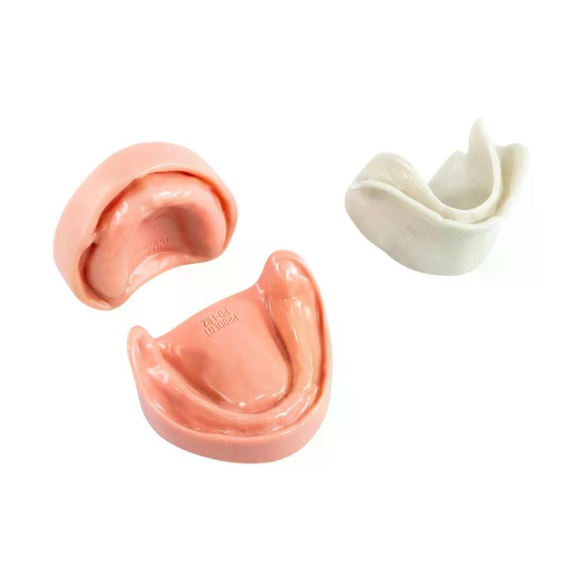 Стоматологическая модель верхней и нижней беззубой челюсти с десной — купить в МЕДСЕТ