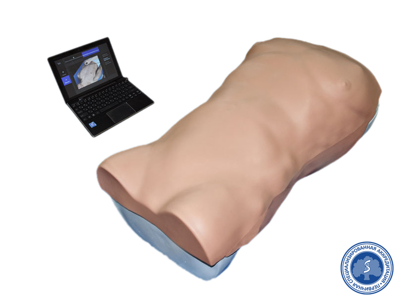 Манекен для диагностики абдоминальных заболеваний — купить в МЕДСЕТ