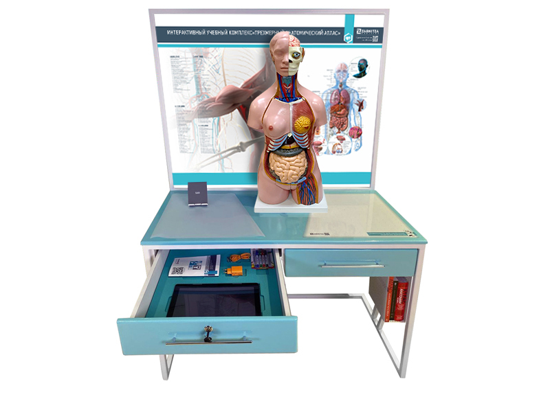 Трехмерный анатомический атлас. Приказ 838 Минпросвещения РФ — купить в МЕДСЕТ
