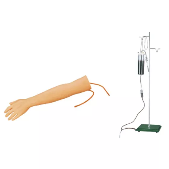 Многофункциональная модель руки для отработки инъекций S — купить в МЕДСЕТ