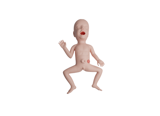 Учебная модель недоношенного ребенка 25 недель для освоения методик сердечно-легочной реанимации и клинического ухода. — купить в МЕДСЕТ