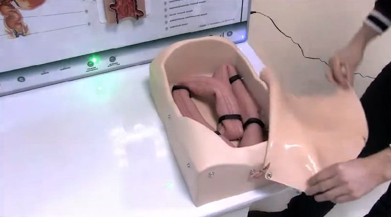 Интерактивный тренажерный комплекс для эндоскопии — купить в МЕДСЕТ