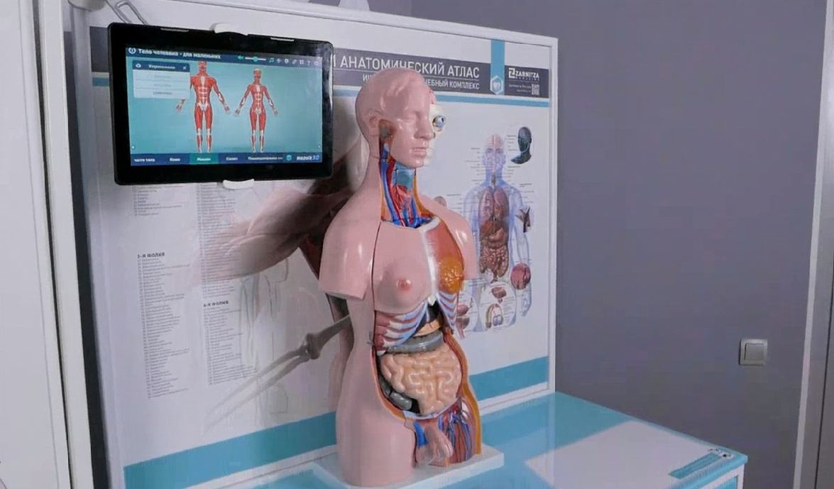 Трехмерный анатомический атлас. Приказ 838 Минпросвещения РФ — купить в МЕДСЕТ