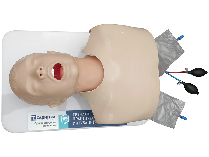 Фантом головы и верхней части туловища человека для отработки навыков интубации и крикотиреотомии — купить в МЕДСЕТ