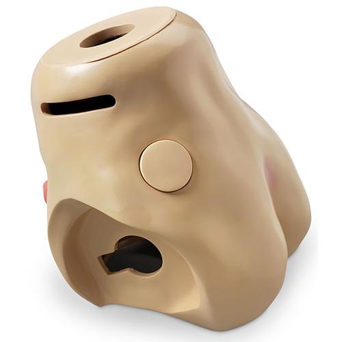 Нижняя часть туловища Keri — купить в МЕДСЕТ