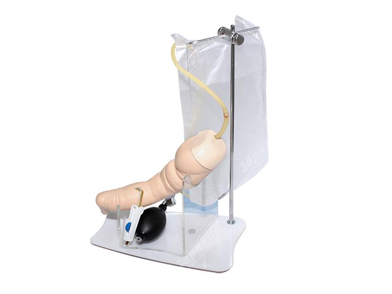 Модель нижней конечности новорожденного для внутривенных и внутримышечных инъекций — купить в МЕДСЕТ