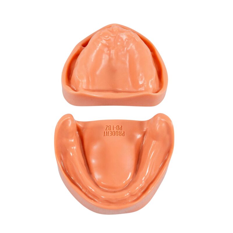 Стоматологическая модель верхней и нижней беззубой челюсти с десной — купить в МЕДСЕТ