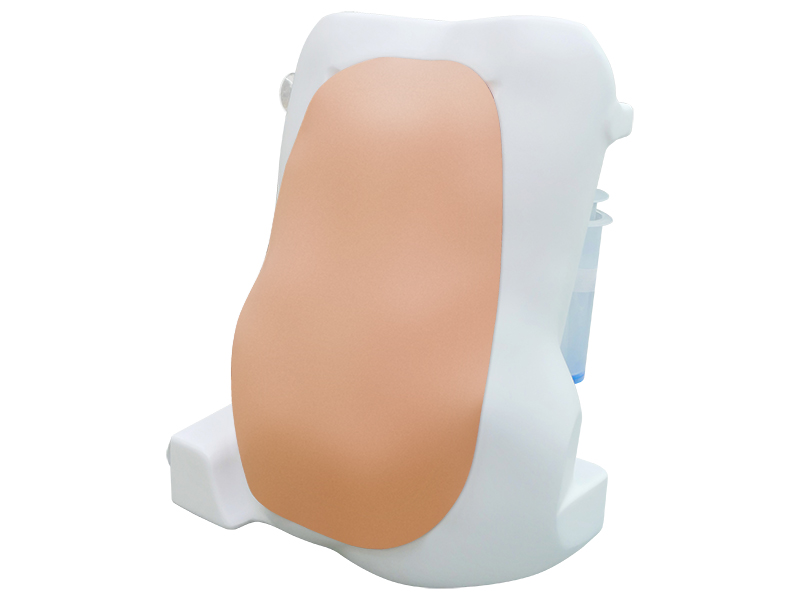 Тренажёр для отработки навыков спинальных инъекций — купить в МЕДСЕТ