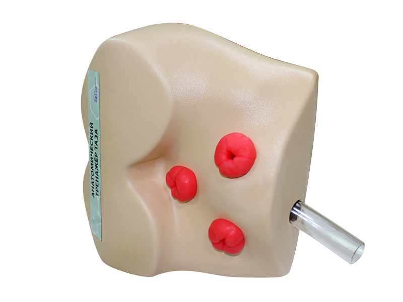 Фантом ягодиц с возможностью проведения очистительной клизмы и постановки газоотводной трубки — купить в МЕДСЕТ