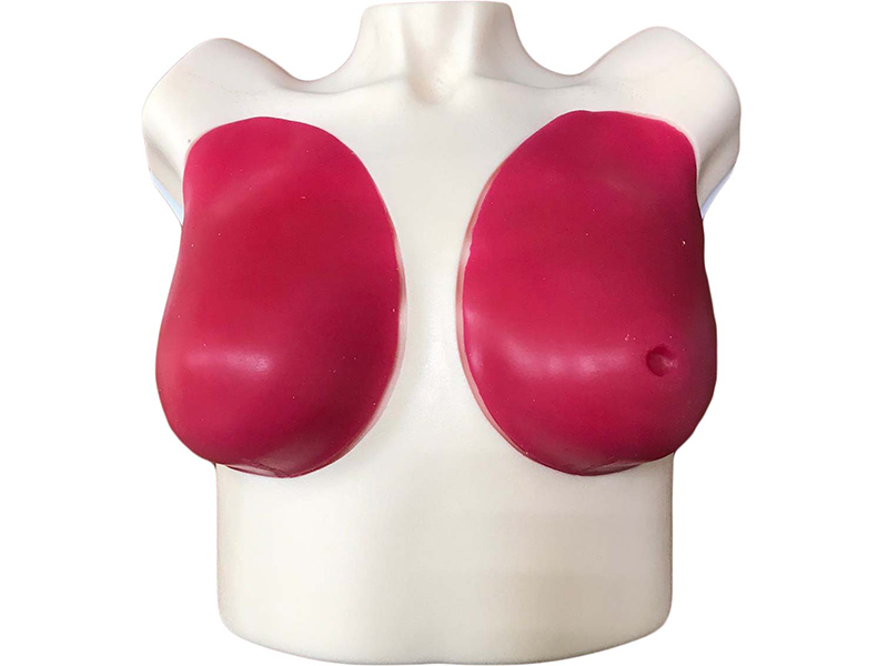 Расширенный тренажер для обследования молочных желез — купить в МЕДСЕТ