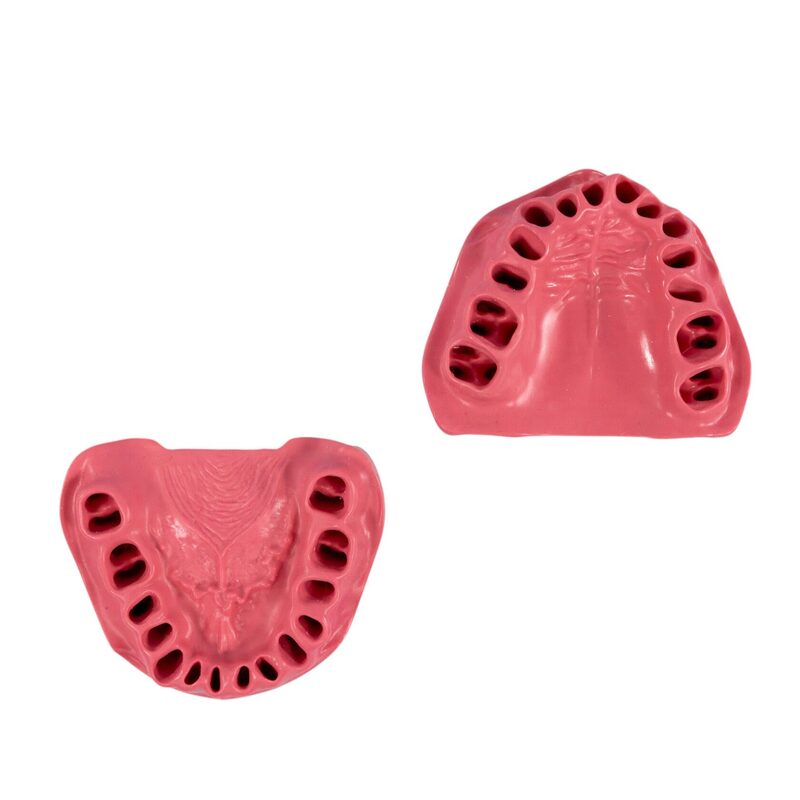 Сменные десны для стоматологической модели PD-M ORT — купить в МЕДСЕТ