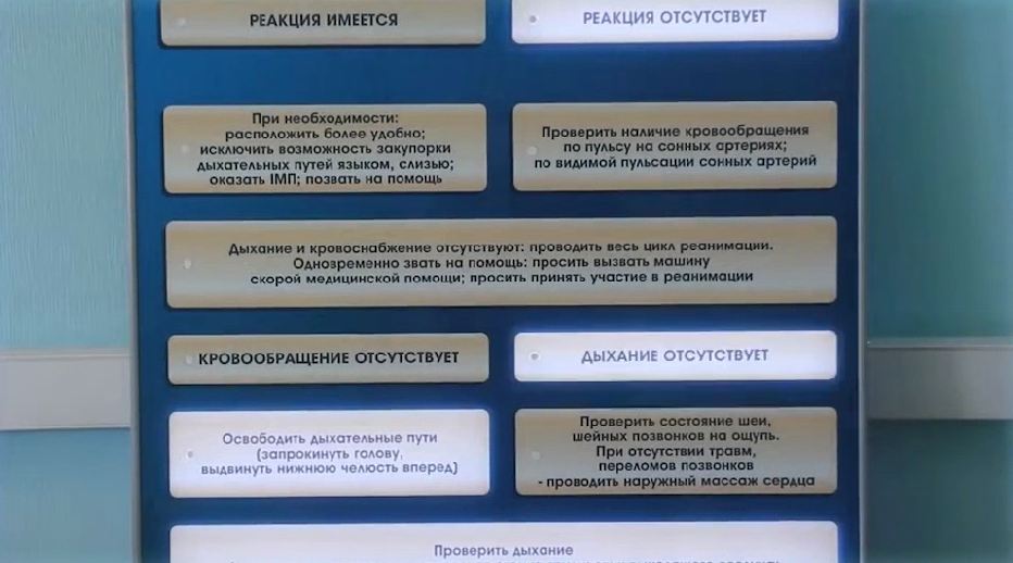 Электрифицированный стенд-тренажер "Этапы оказания первой реанимационной помощи" — купить в МЕДСЕТ