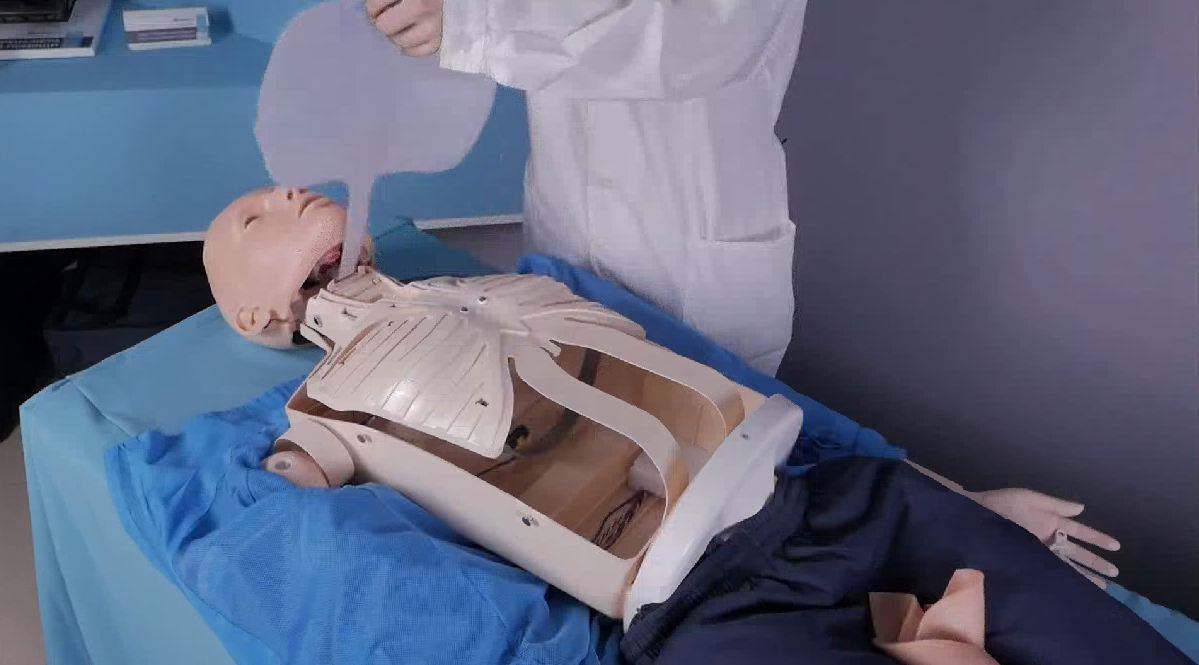 Робот-тренажер манекен "Антон-2" — купить в МЕДСЕТ