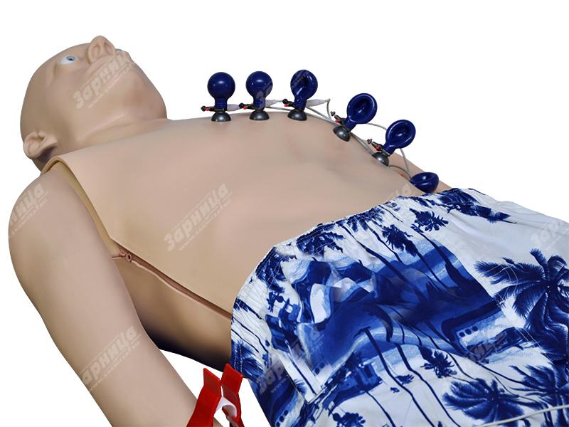 Манекен полноростовой взрослого человека для физикального обследования — купить в МЕДСЕТ