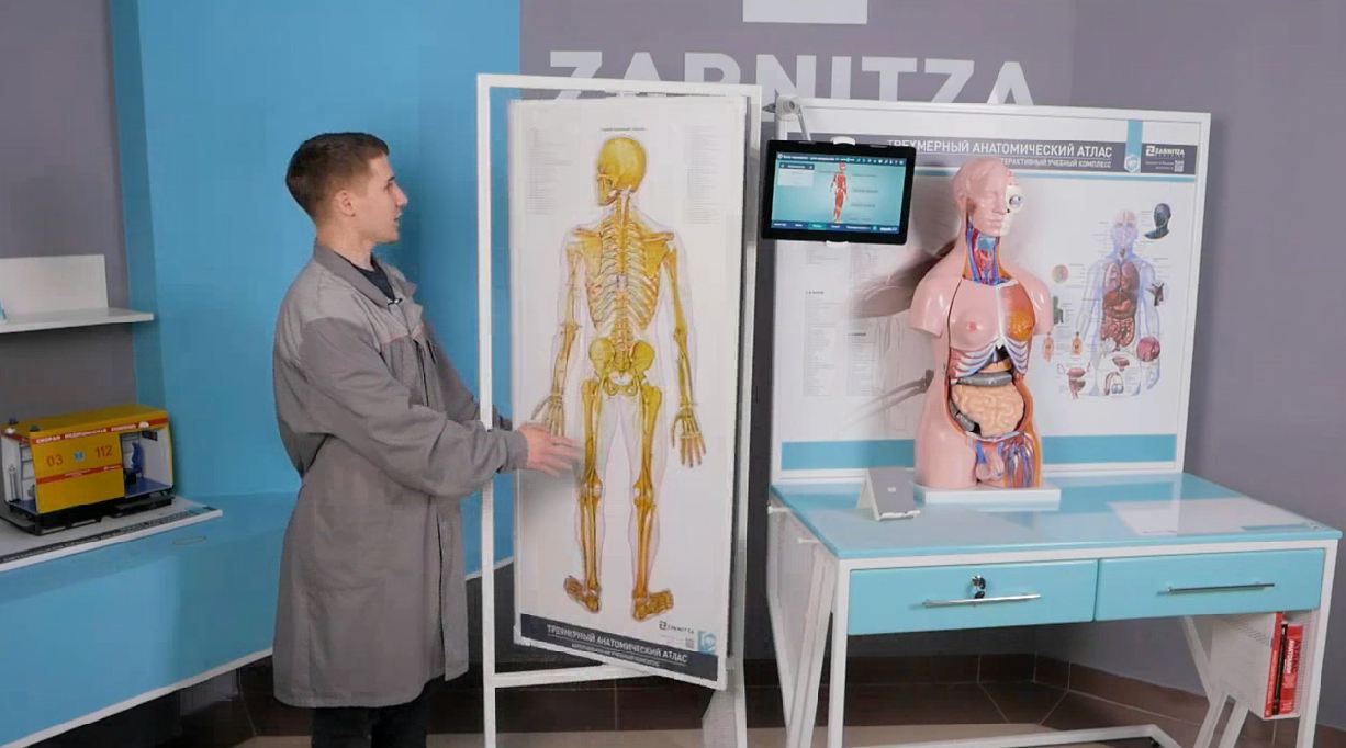 Трехмерный анатомический атлас. Приказ 838 Минпросвещения РФ — купить в МЕДСЕТ