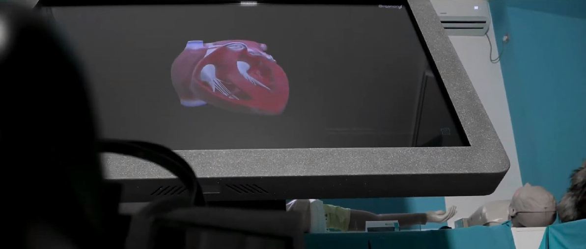 Трехмерный анатомический атлас VR. Виртуальный учебный комплекс. Приказ 838 Минпросвещения РФ — купить в МЕДСЕТ
