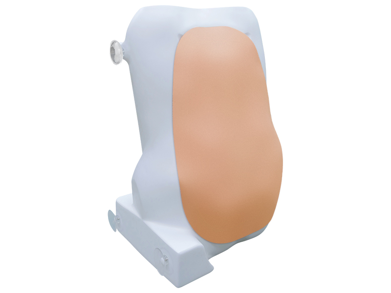 Тренажёр для отработки навыков спинальных инъекций — купить в МЕДСЕТ