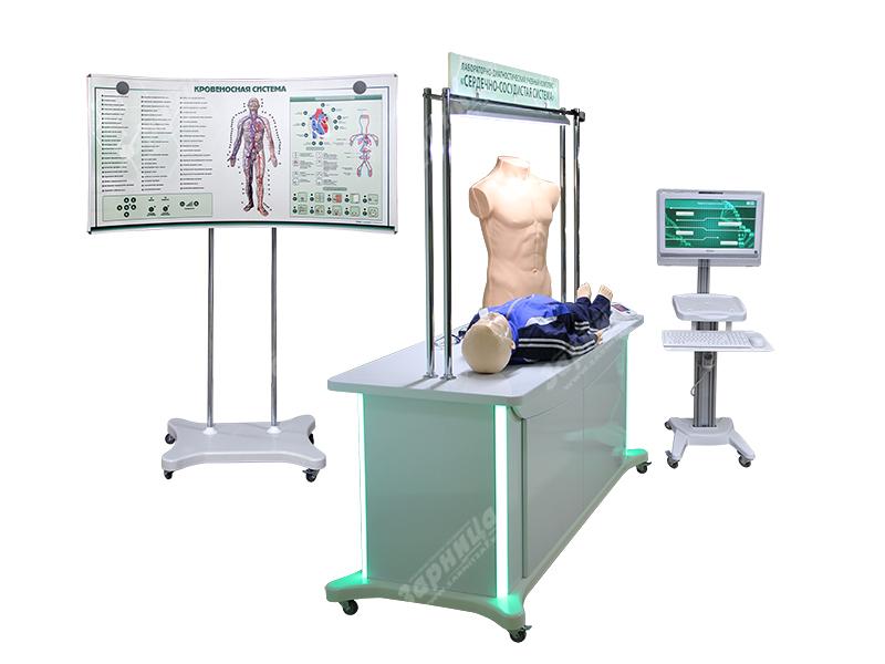Лабораторно-диагностический учебный комплекс "Сердечно-сосудистая система" — купить в МЕДСЕТ