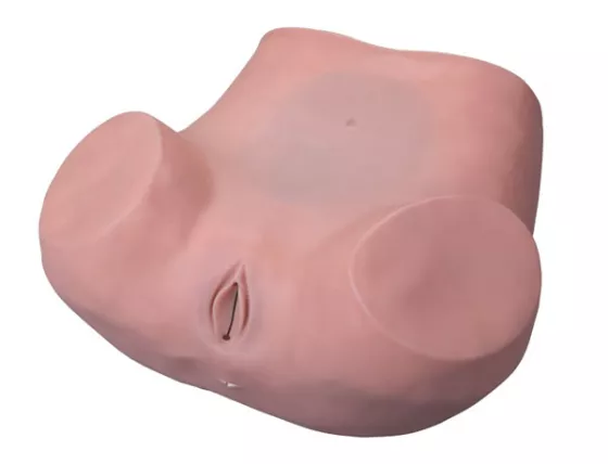 Модель для гинекологического обследования (6) — купить в МЕДСЕТ