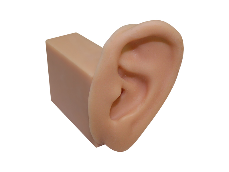 Тренажер для отработки навыков промывания уха — купить в МЕДСЕТ