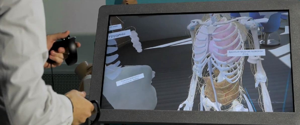 Трехмерный анатомический атлас VR. Виртуальный учебный комплекс. Приказ 838 Минпросвещения РФ — купить в МЕДСЕТ
