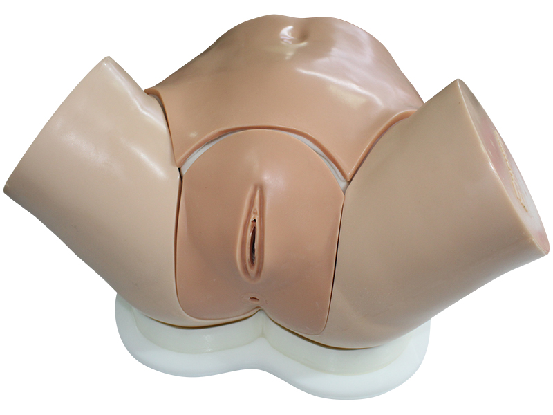 Тренажер для гинекологического осмотра — купить в МЕДСЕТ